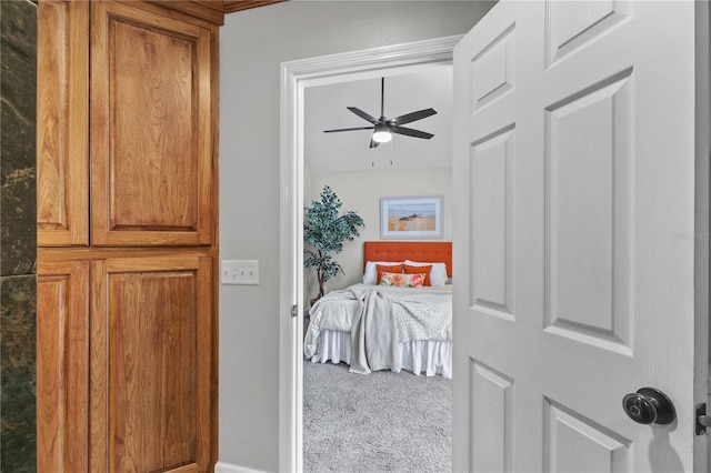 2929 Lakeshore Dr, Mount Dora, FL 32757 - hall featuring carpet