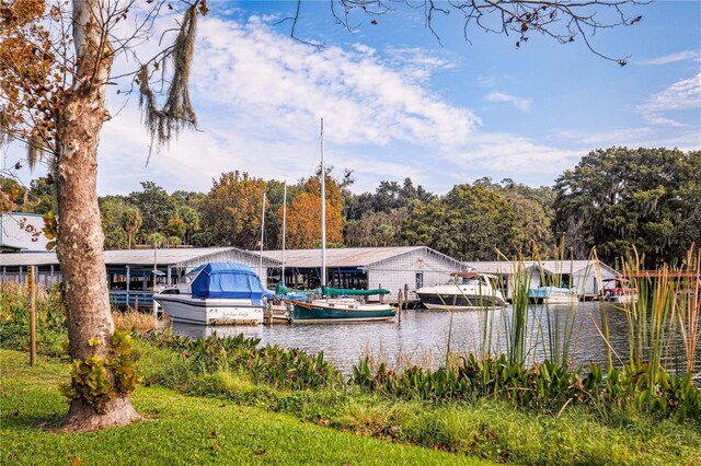 2929 Lakeshore Dr, Mount Dora, FL 32757 - dock featuring a water view and boat lift