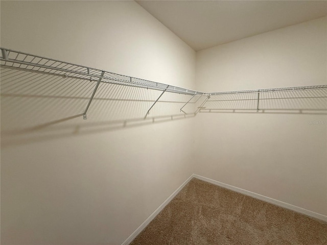 spacious closet with carpet floors