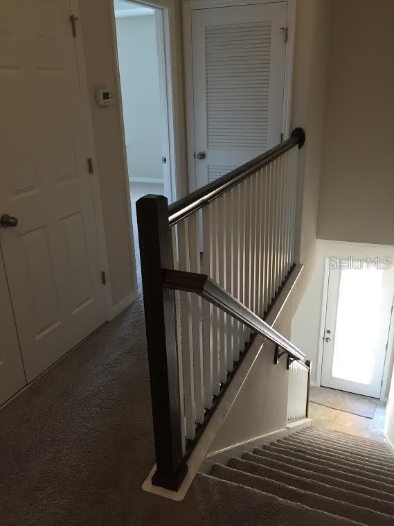 stairway with carpet flooring