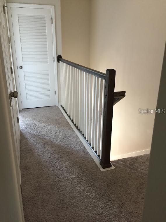 hallway featuring carpet floors