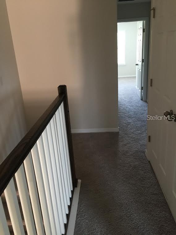 stairway featuring carpet flooring