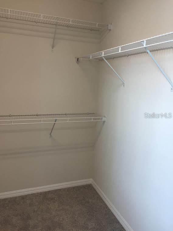 spacious closet with carpet floors