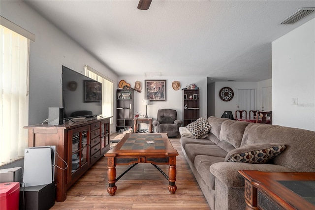 living room with a textured ceiling and light hardwood / wood-style flooring