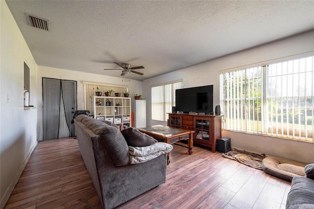 living room featuring hardwood / wood-style floors, a wealth of natural light, and a textured ceiling