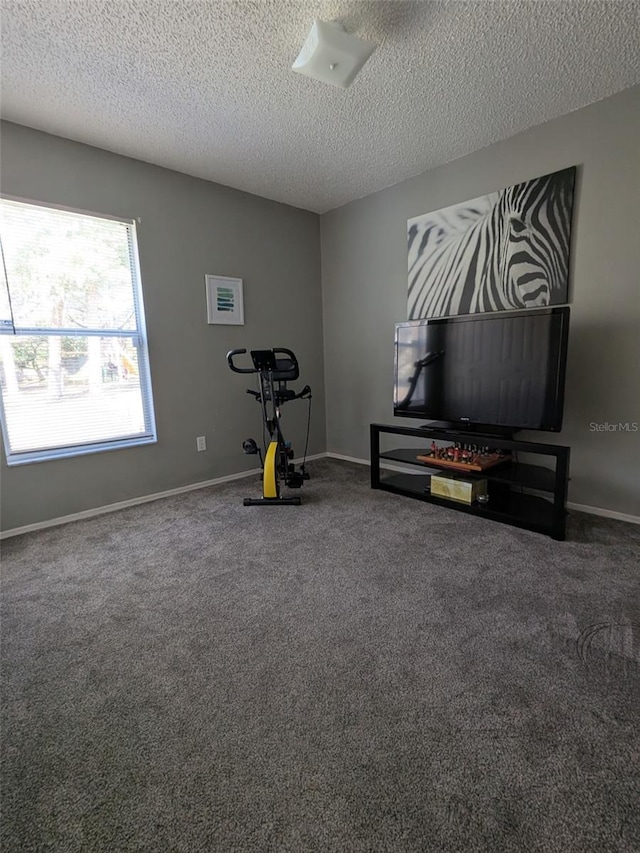 exercise area with carpet floors and a textured ceiling