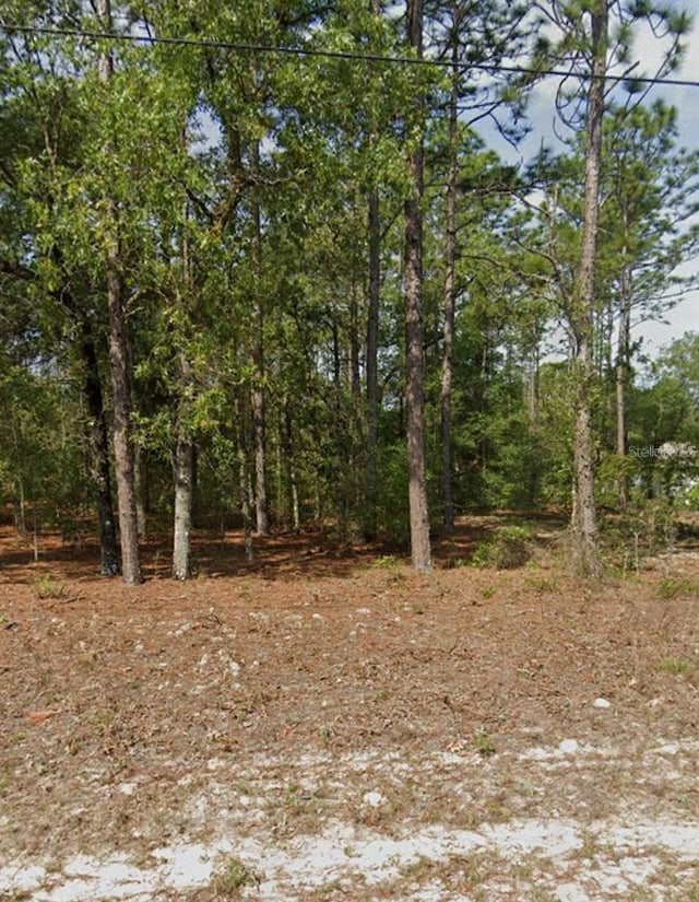 8270 N Pitcairn Way, Citrus Springs FL, 34434 land for sale