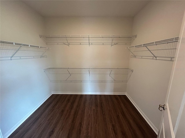 spacious closet with dark wood-style flooring
