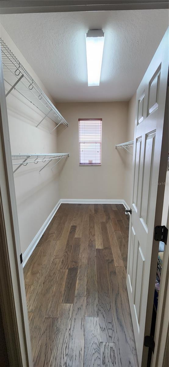 spacious closet featuring dark hardwood / wood-style flooring