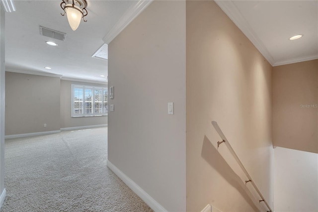 hallway with crown molding and carpet