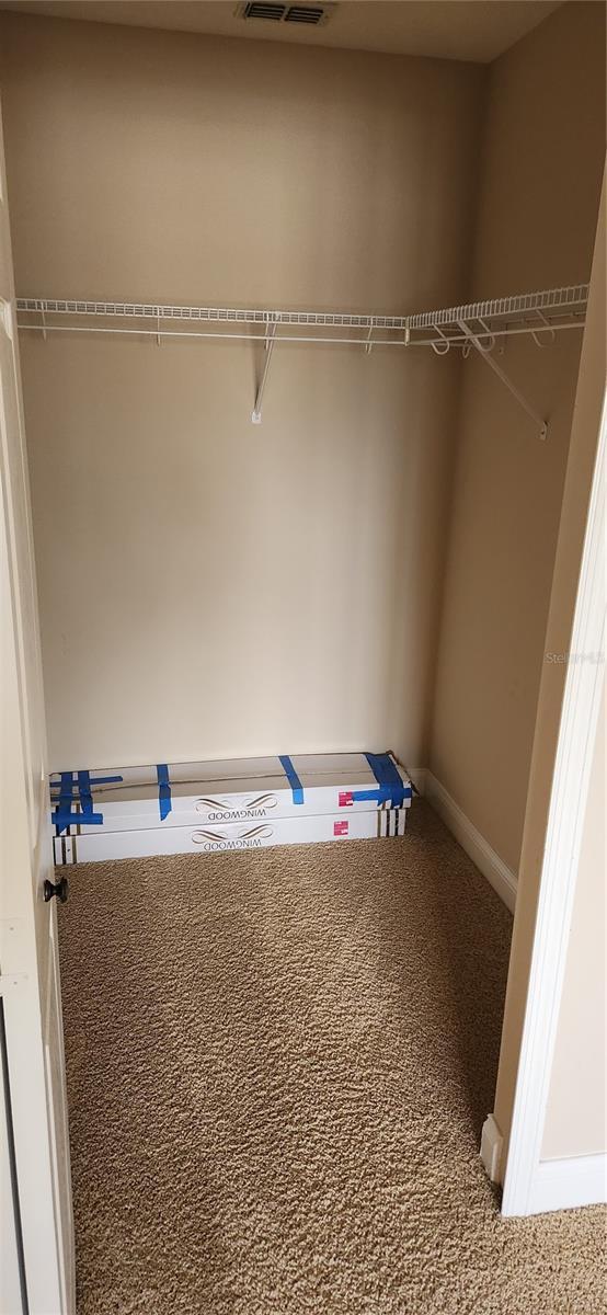 spacious closet featuring carpet floors