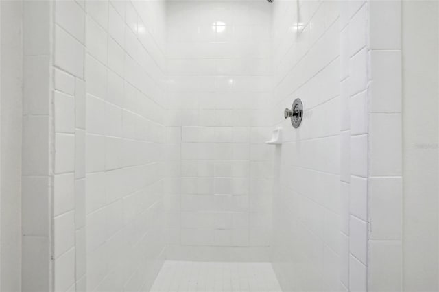 interior details featuring tiled shower