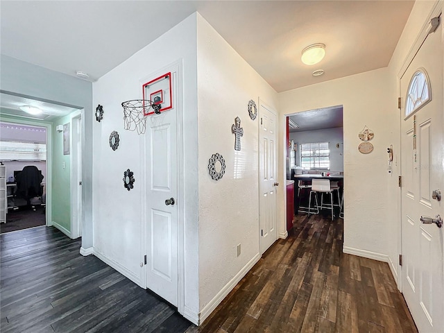 hall with dark hardwood / wood-style floors