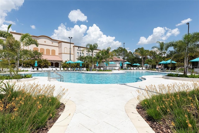 view of swimming pool with a patio