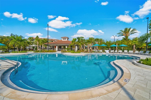 view of swimming pool with a patio