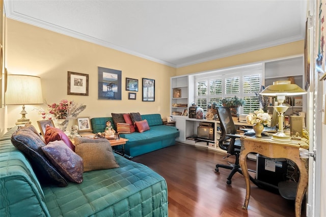 office space featuring crown molding and dark hardwood / wood-style flooring