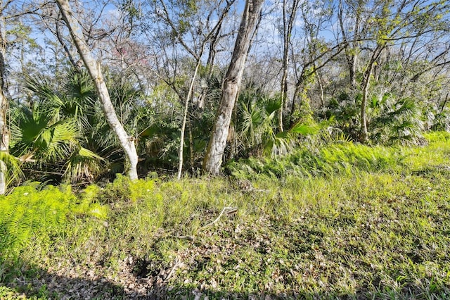 view of landscape