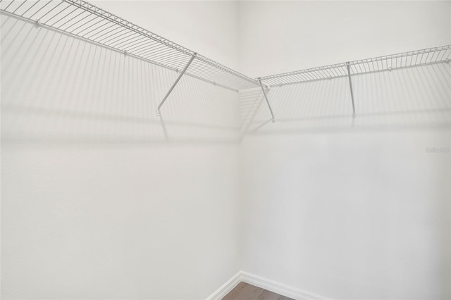 walk in closet featuring wood-type flooring