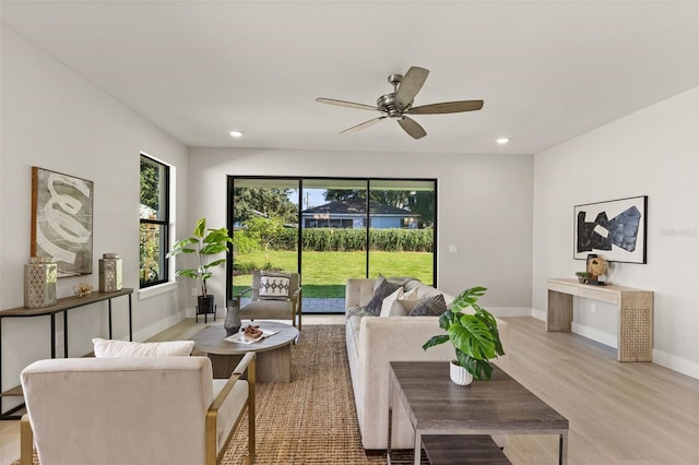 living room with ceiling fan and light wood-type flooring