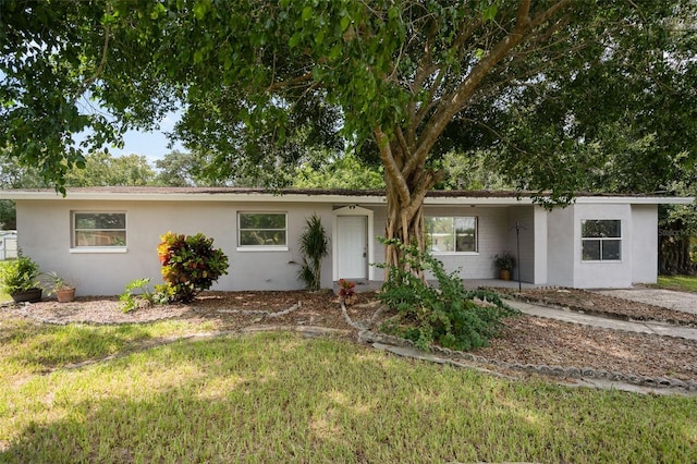 ranch-style home featuring a front lawn