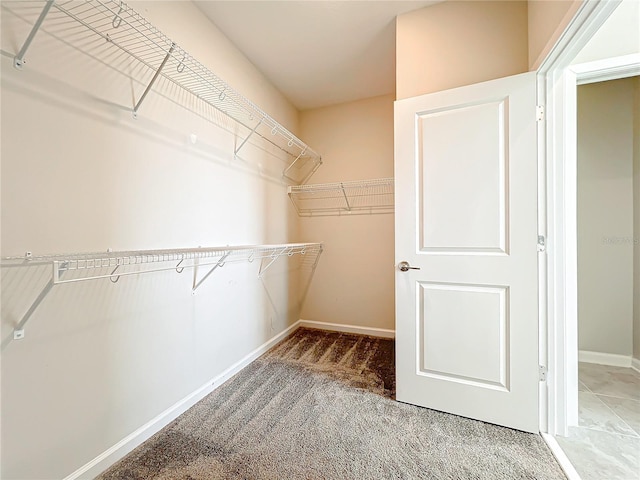 walk in closet with carpet