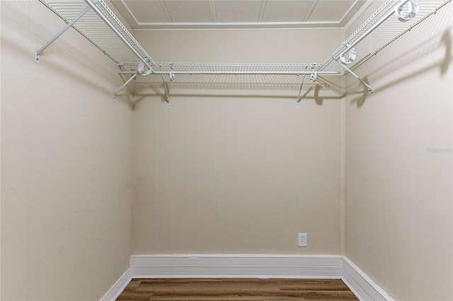 walk in closet featuring wood finished floors