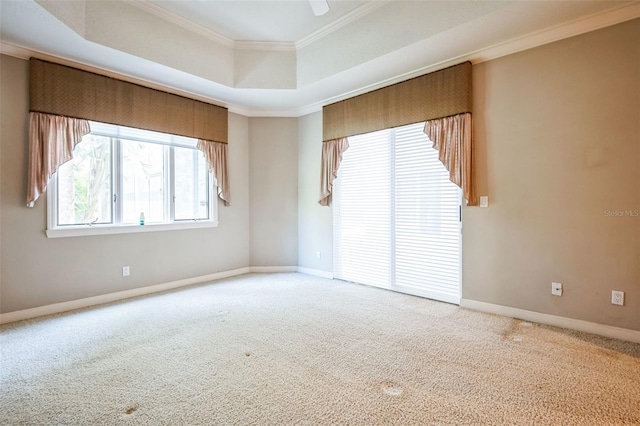 spare room with crown molding, a tray ceiling, and carpet floors