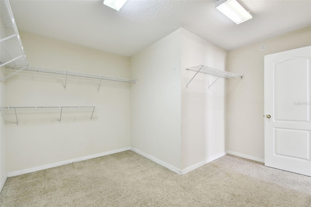 spacious closet featuring light carpet