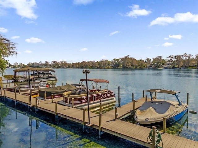 dock area with a water view