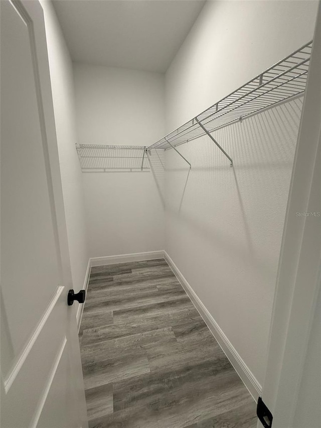 walk in closet with wood finished floors