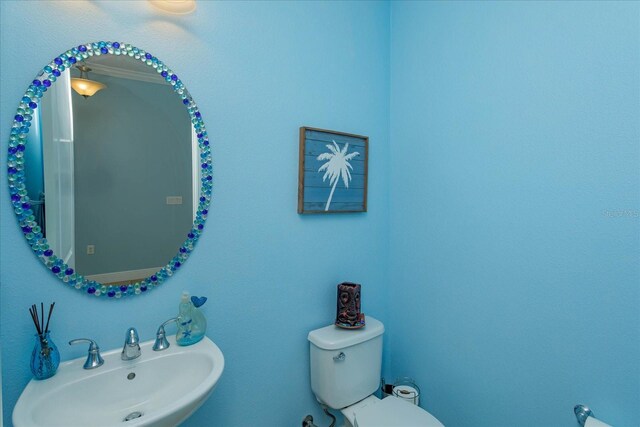 15672 Shorebird Ln, Winter Garden, FL 34787 - photo 31