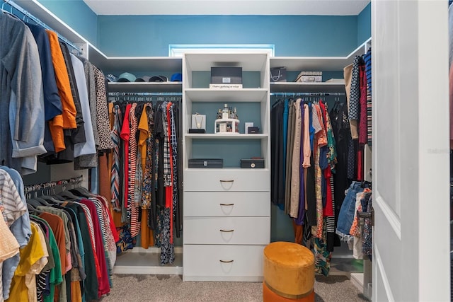 view of walk in closet