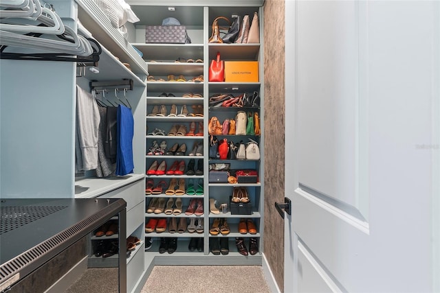 view of walk in closet