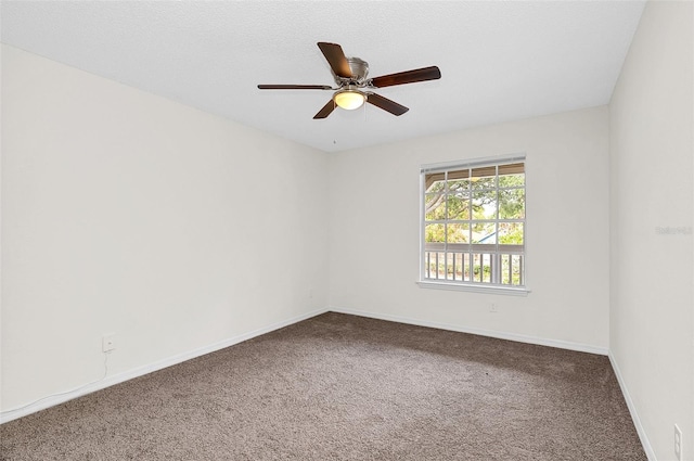 spare room with ceiling fan and carpet flooring