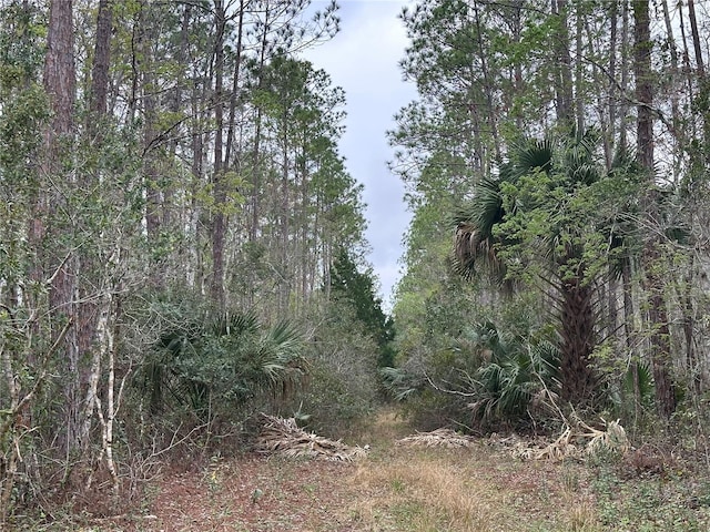 N0 St, Deland Deland FL, 32724 land for sale