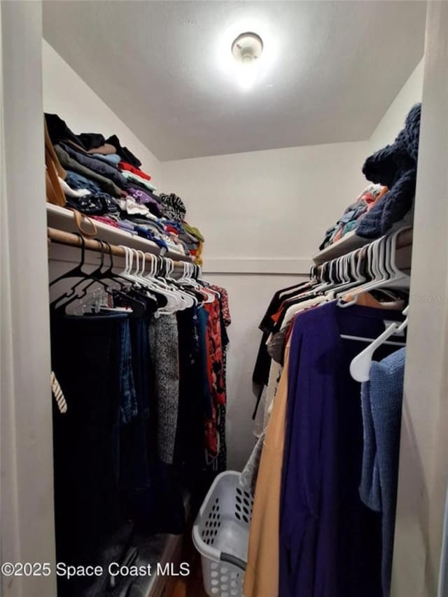 view of walk in closet