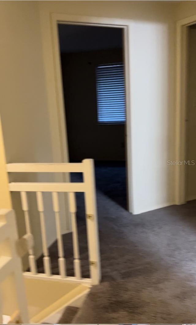 4944 Sanoma Vlg Unit D, Orlando, FL 32808 - staircase featuring carpet flooring