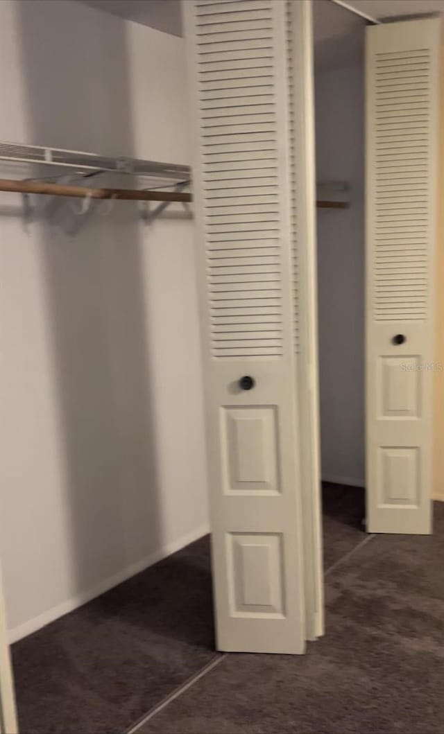 4944 Sanoma Vlg Unit D, Orlando, FL 32808 - view of closet