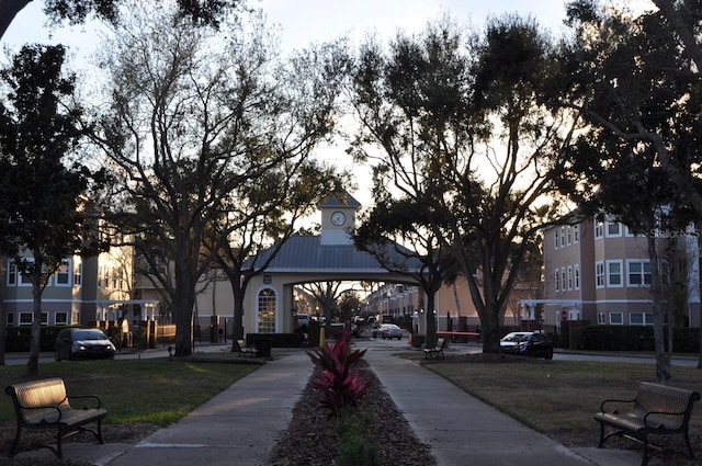 view of community with a yard