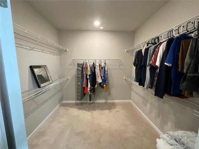 walk in closet featuring carpet