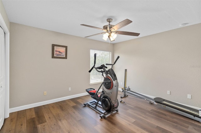 exercise room with hardwood / wood-style floors and ceiling fan