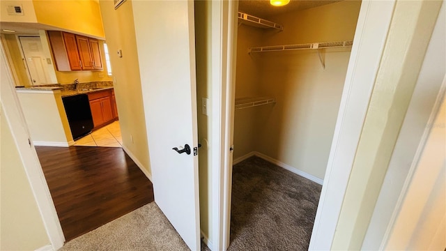 closet with sink