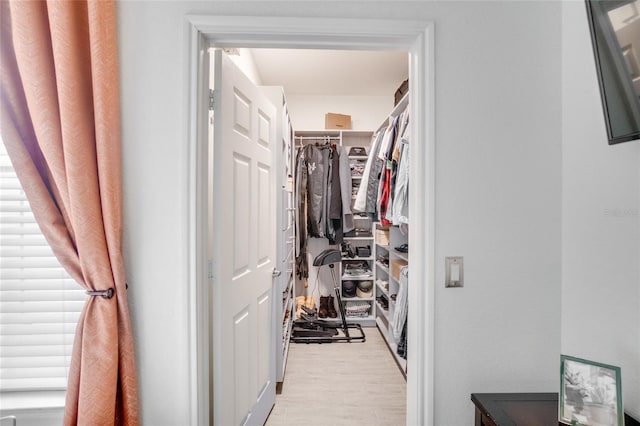 walk in closet with light hardwood / wood-style flooring