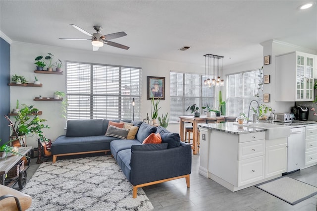 kitchen featuring sink, stainless steel dishwasher, pendant lighting, a healthy amount of sunlight, and white cabinets