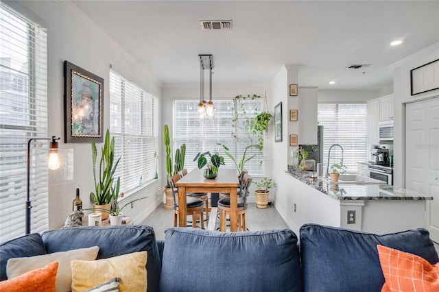 living room featuring ornamental molding and sink