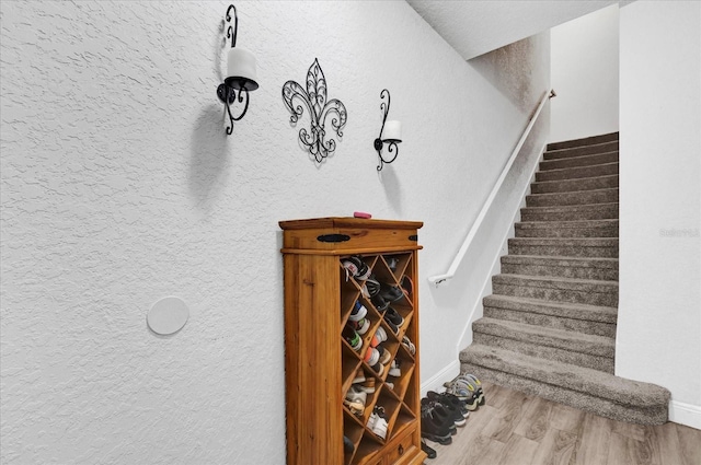 wine area with wood-type flooring