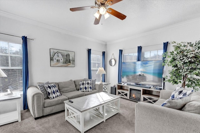 living room with crown molding, a textured ceiling, a healthy amount of sunlight, and carpet