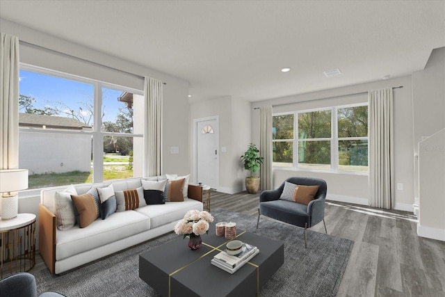 living room with hardwood / wood-style floors