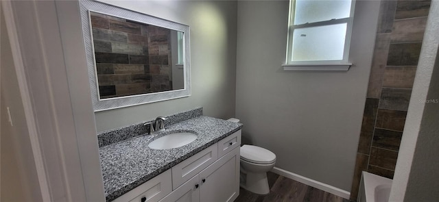 bathroom with vanity, hardwood / wood-style floors, and toilet