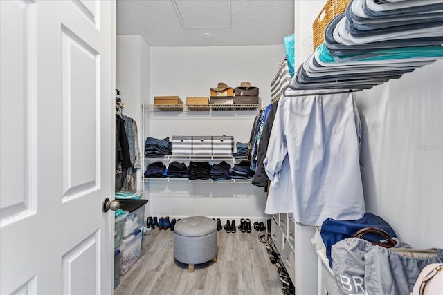 walk in closet with hardwood / wood-style floors